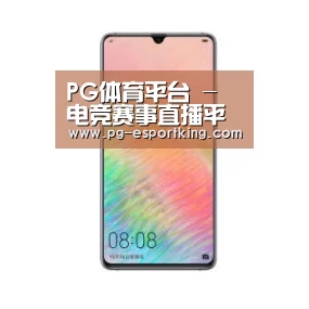 华为HUAWEI NOTE 8