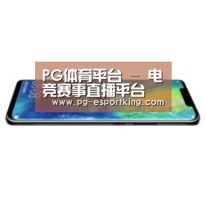 华为无线快充手机