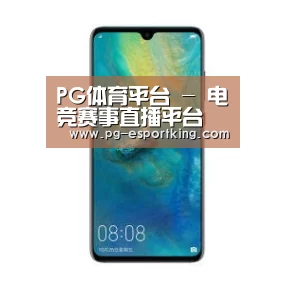 华为无线快充手机