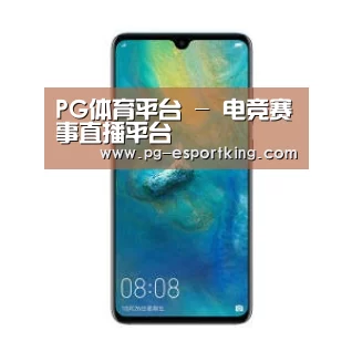 华为无线快充手机