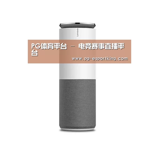联想智能音箱G1