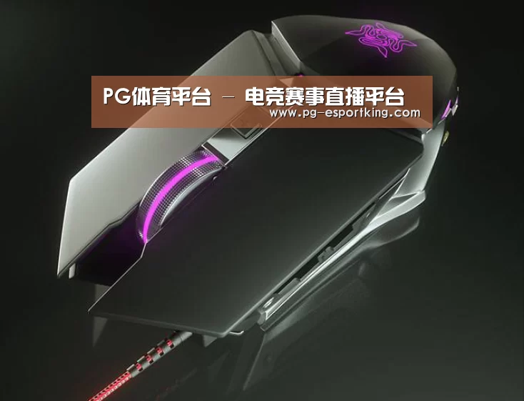鼠标封面设计