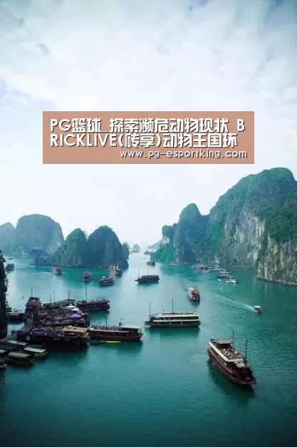 PG篮球_探索濒危动物现状 BRICKLIVE(砖享)动物王国环保展一北京站开幕(图3) PG体育