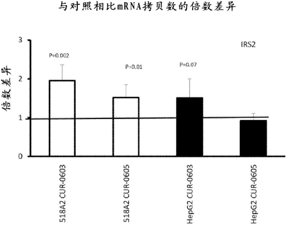 吴郁楠加盟第四季《你好!面试官》 从“爱情专家”跨界到“面试专家”行列【PG竞猜】(图1) PG体育