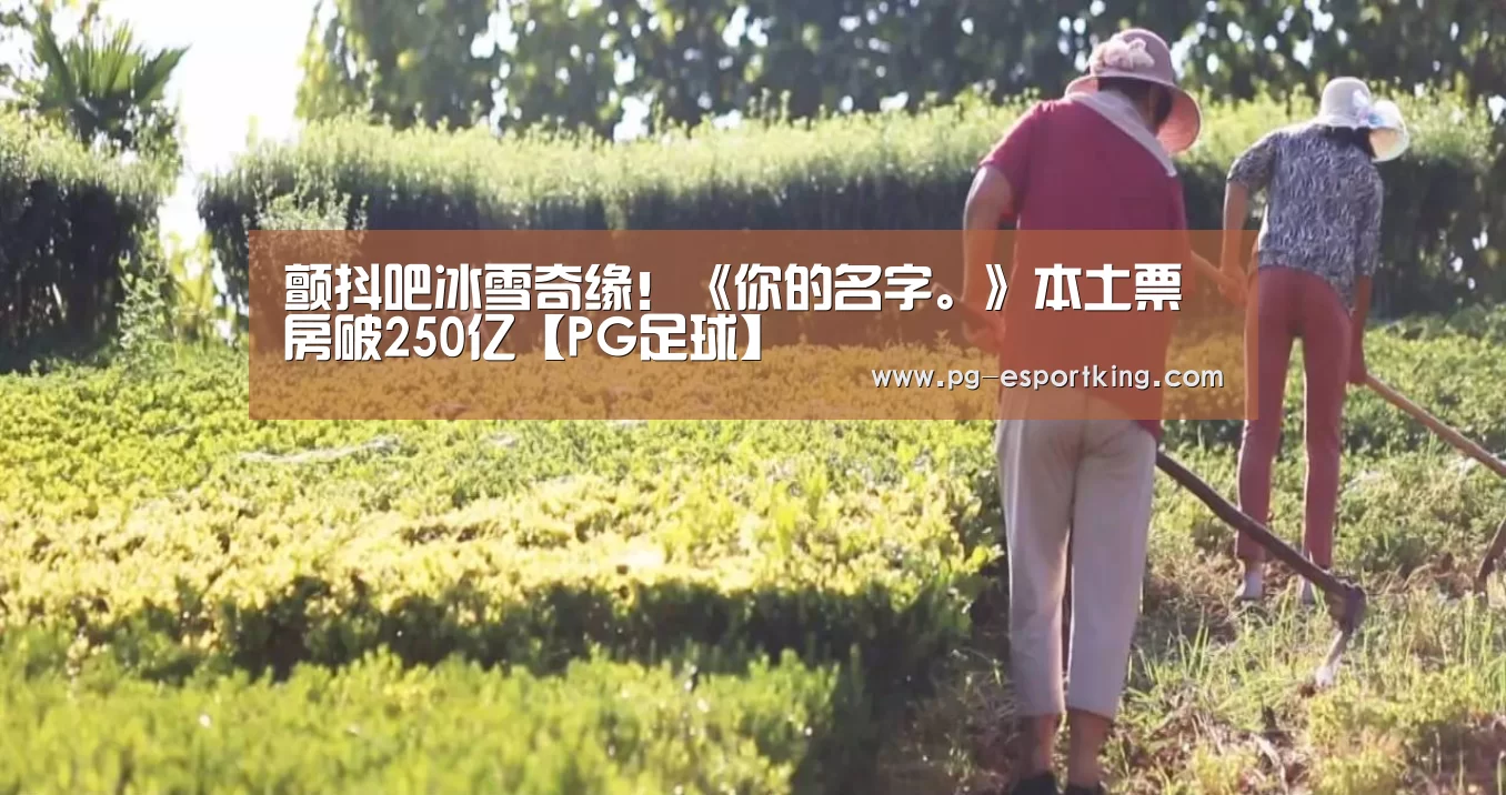 颤抖吧冰雪奇缘!《你的名字。》本土票房破250亿【PG足球】(图4) PG竞猜
