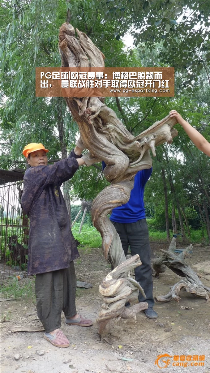 PG足球|欧冠赛事:博格巴脱颖而出, 曼联战胜对手取得欧冠开门红(图1) PG足球