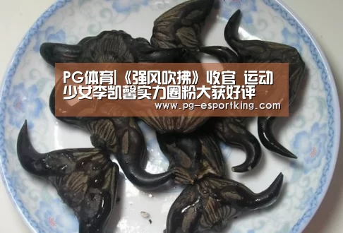 PG体育|《强风吹拂》收官 运动少女李凯馨实力圈粉大获好评(图1) PG体育