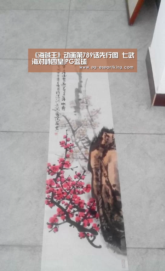 《海贼王》动画第789话先行图 七武海对峙四皇|PG篮球(图4) PG篮球